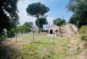 Vivienda-Casa-CASA CON GRAN PARCELA Y OPCIÓN TURÍSTICA 5