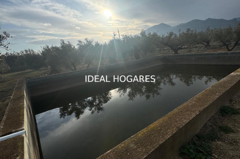 Vivienda-Casa-CHALET 6 HABITACIONES DUPLEX-TORTOSA JES 5