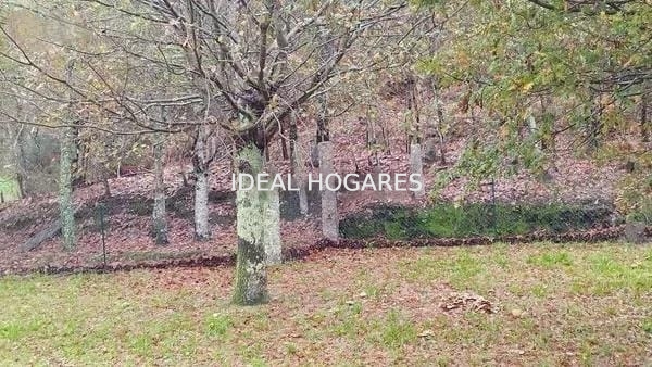 Vivienda-Casa-CHALET EXCLUSIVO EN ENTORNO NATURAL, SOL 25